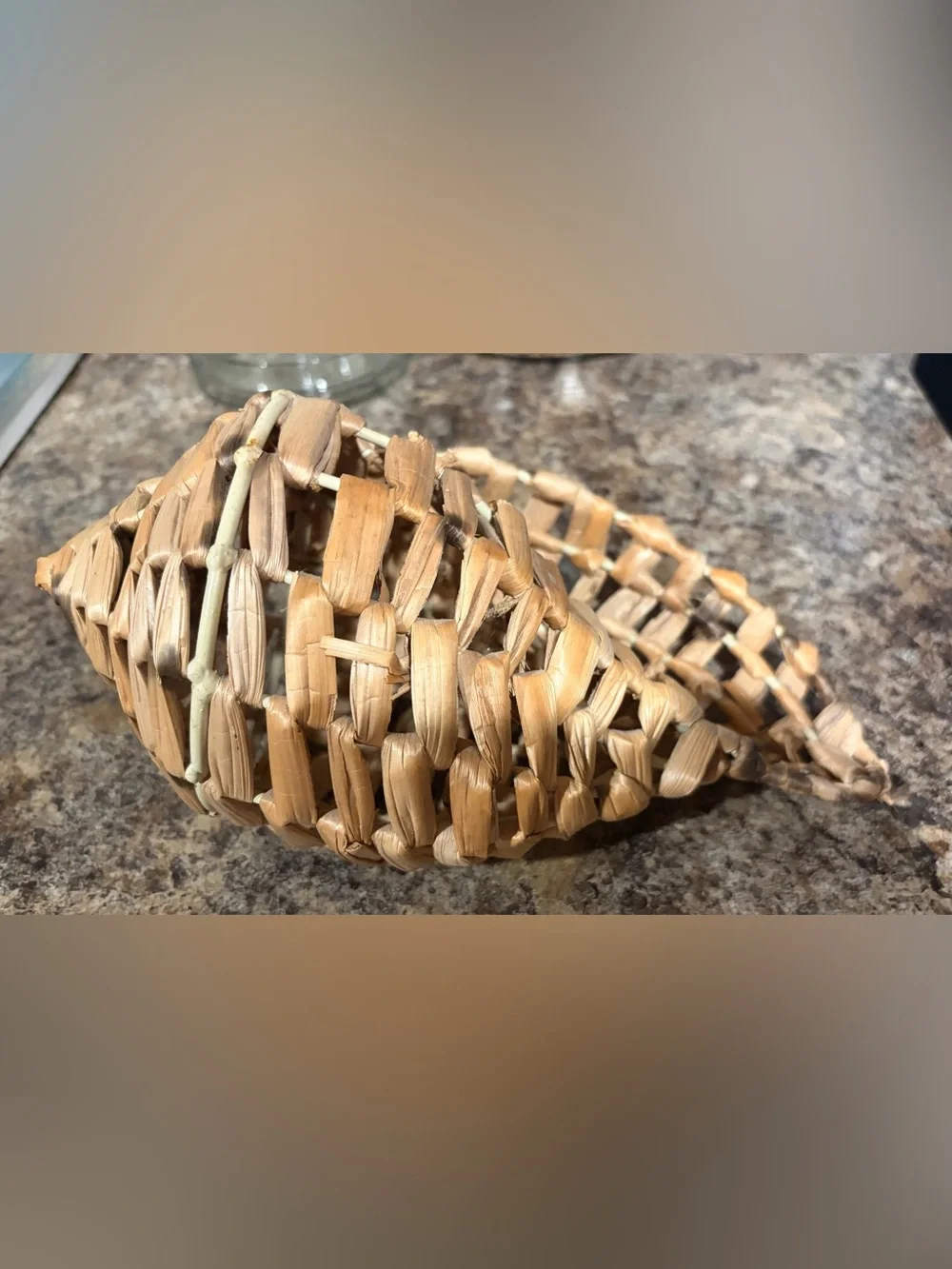 Vintage Conch Seashell Woven Basket on Wire Frame